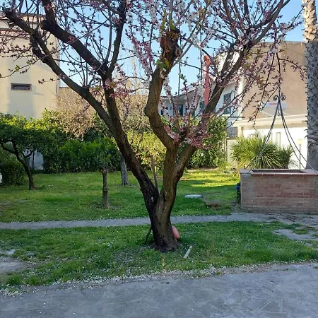 Bed & Breakfast Celeste
